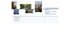 Desktop Screenshot of dr-t-schreiner.de